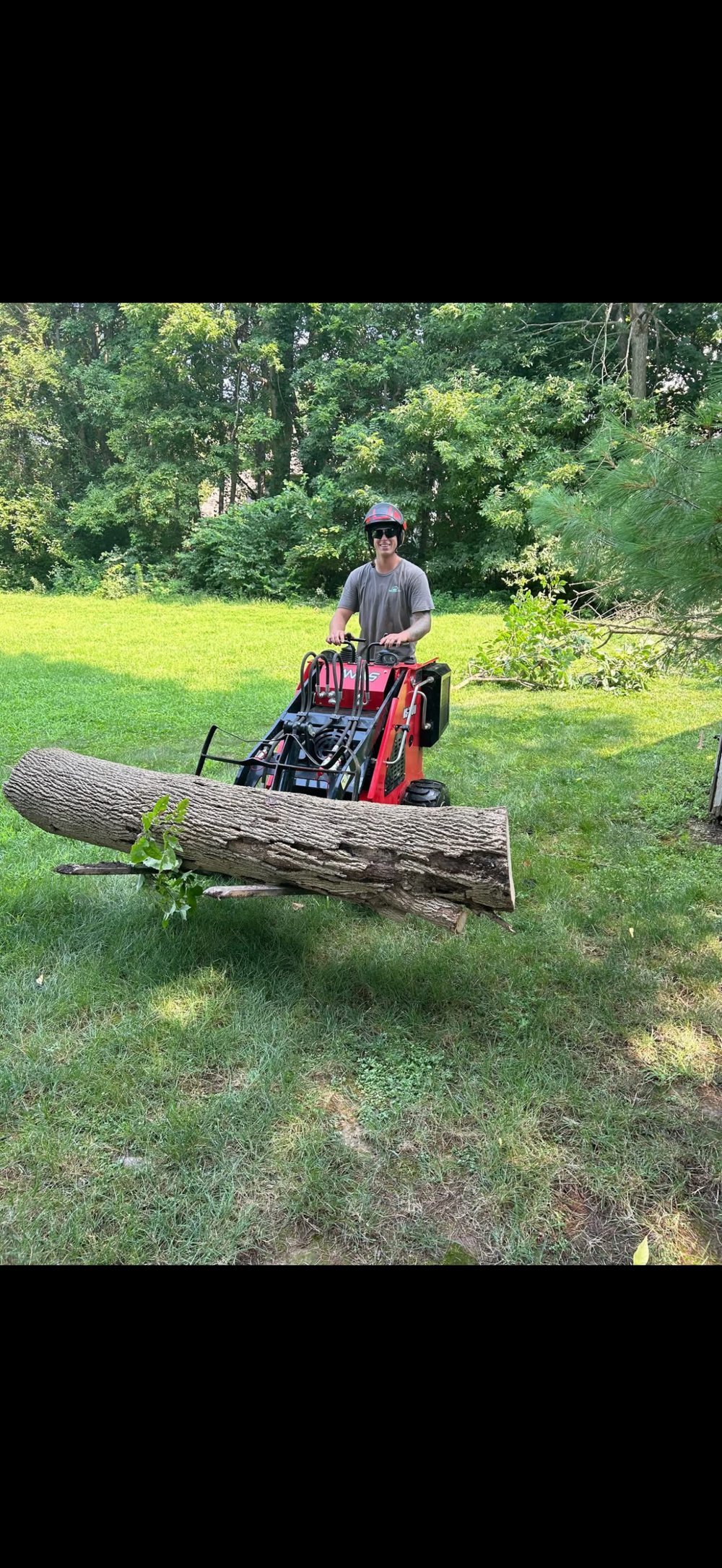 Tree Logistics crew at work